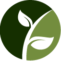 Topiary Pruning Service Pros