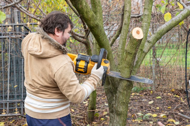Residential Tree Service in Allentown, PA