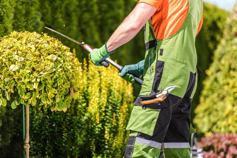 Topiary Pruning Service