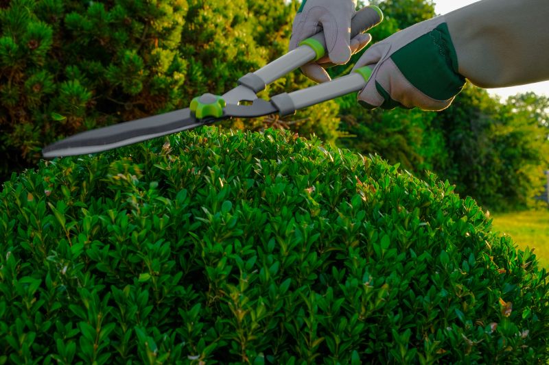 Topiary Pruning Service