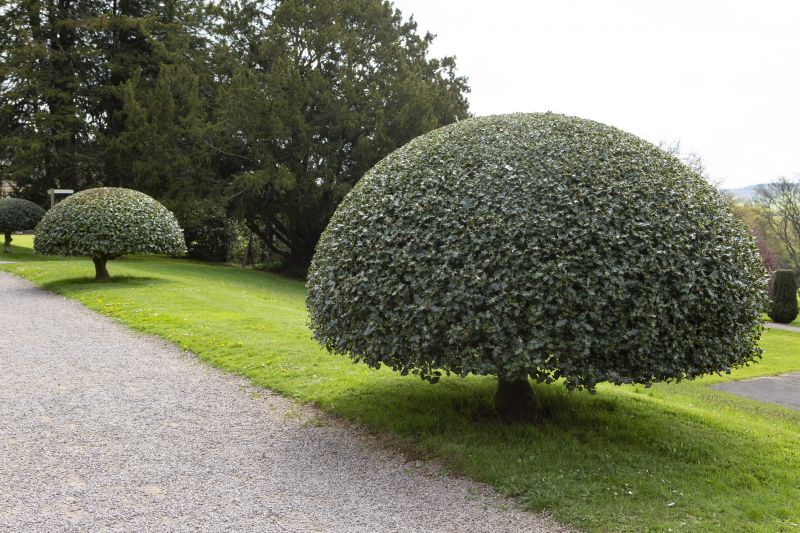 Topiary Pruning Service