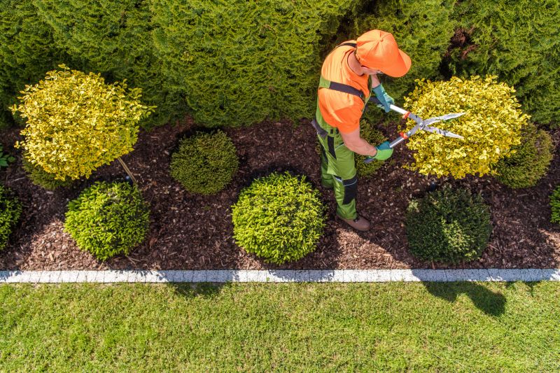 Topiary Pruning Service
