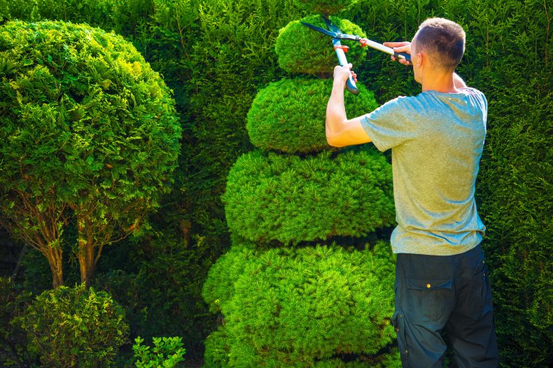 Topiary Pruning Service
