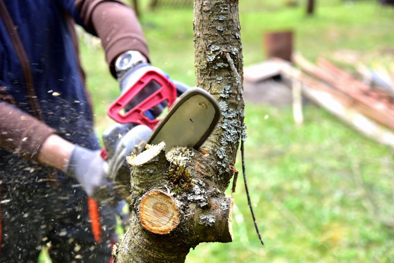 Tree Shearing in Pottstown, PA